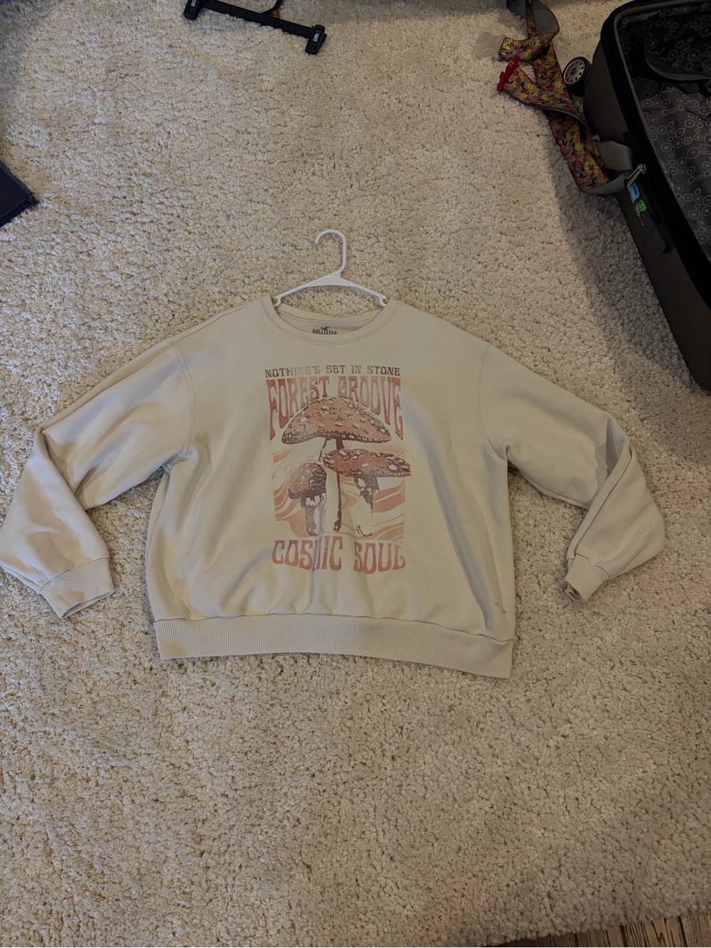 Hollister Cream Crewneck Sweater with Faded Mushroom Graphic